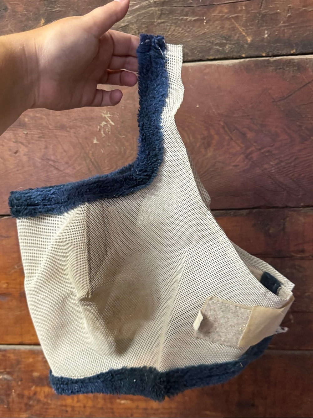 Yearling fly mask equestrian